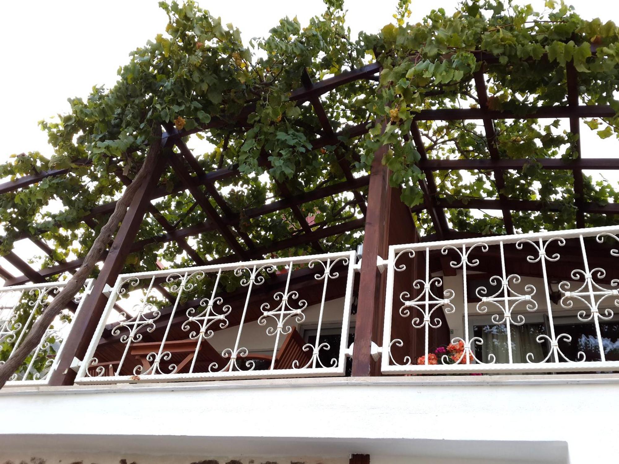 Lemon Villa Hotel - Adult Only Alanya Ngoại thất bức ảnh